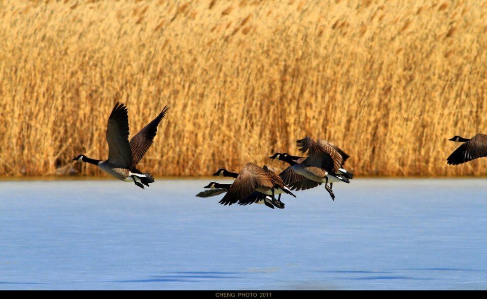 让我们起飞<br />
EOS 7D, F8.0, 1/1600s, ISO 400