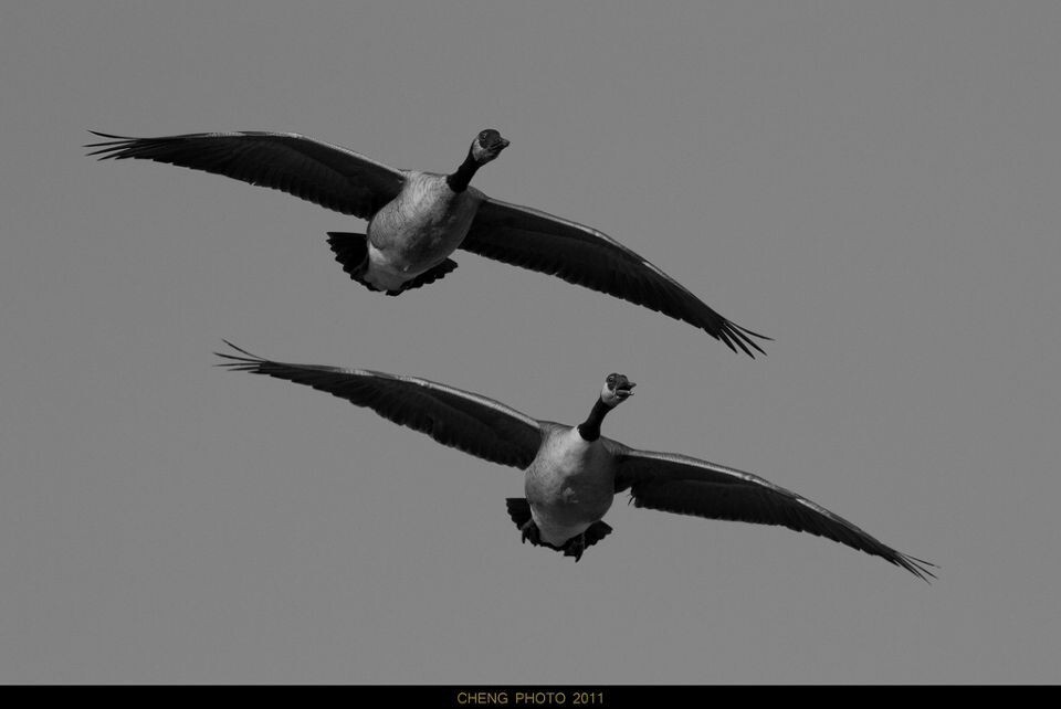 展<br />
EOS 7D, F8, 1/2500s, ISO400