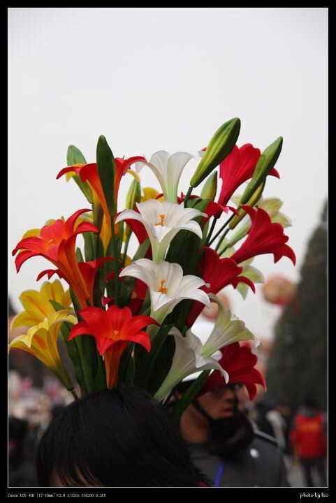 游人的花<br />
