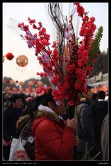 手持鲜花的少女