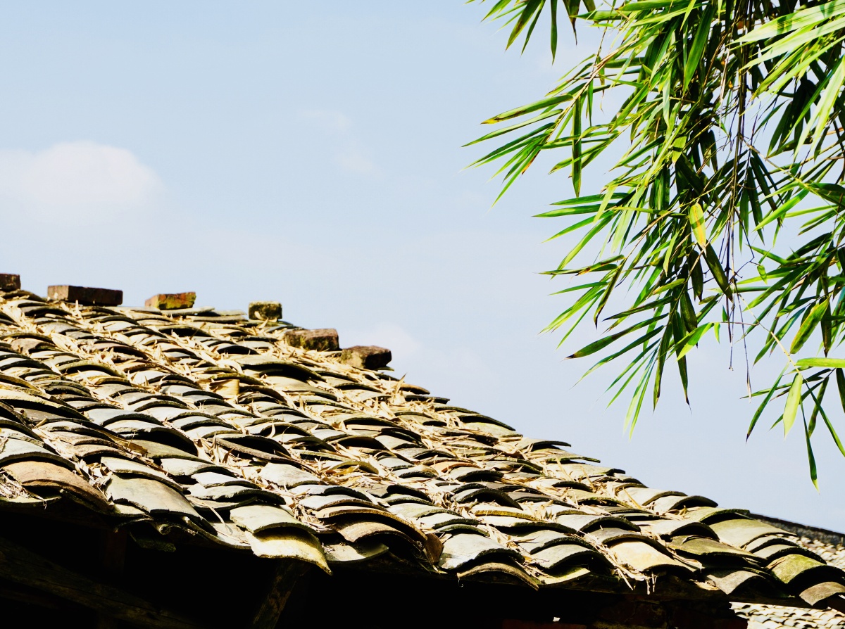 瓦片上铺满飘落的竹叶,而竹叶也随风飘动 - 七月轩 - 图虫