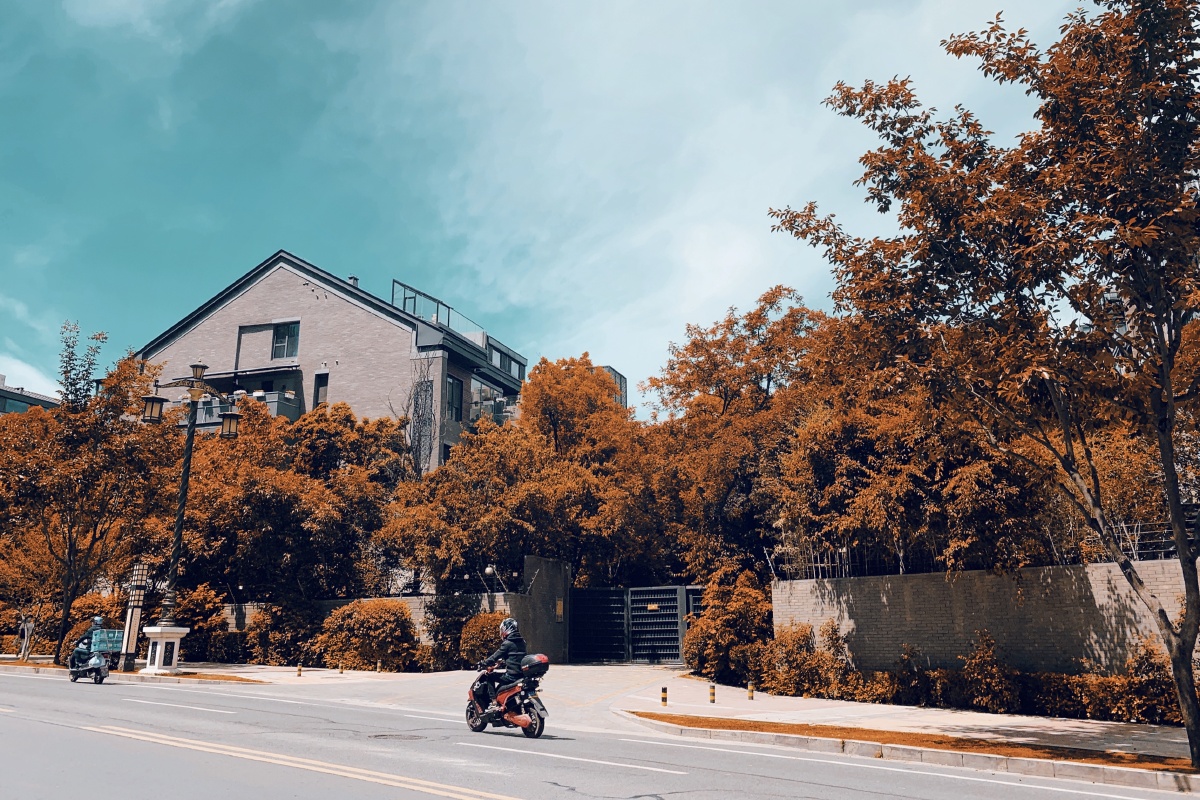 青橙风格走一波