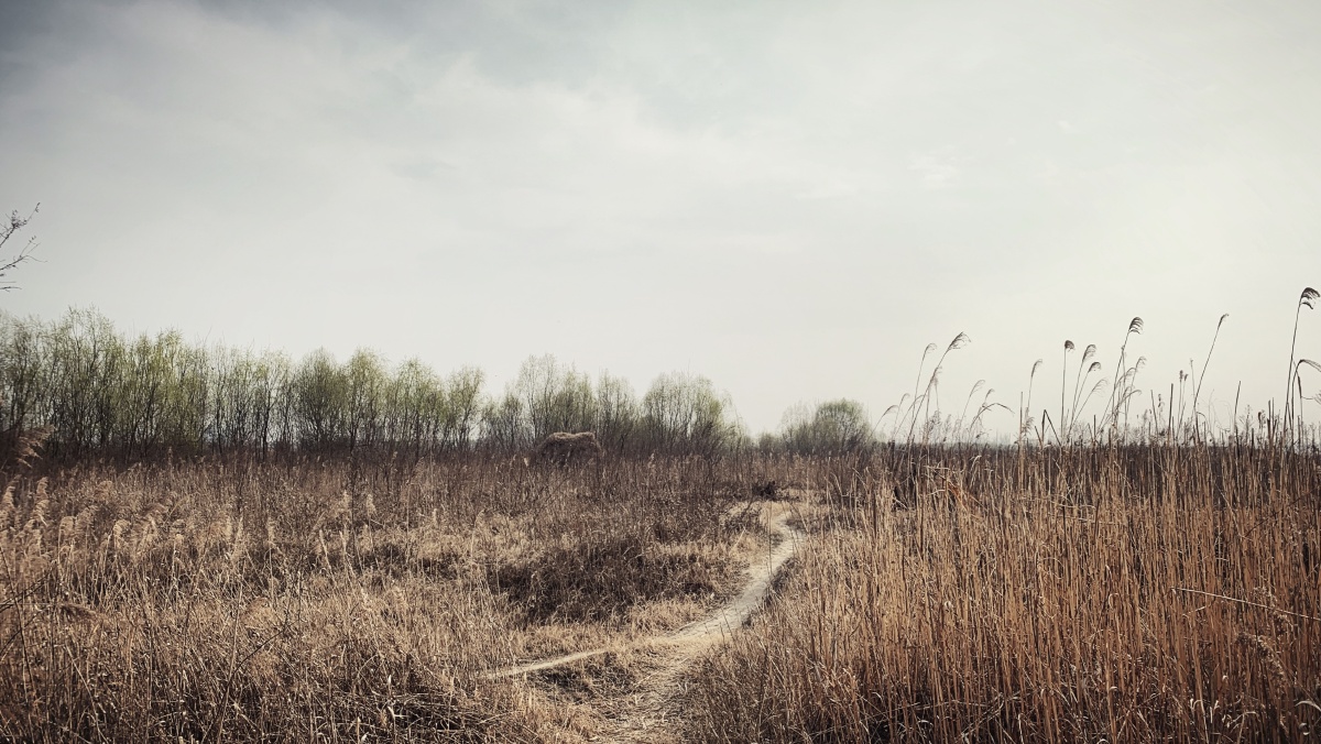 找一个荒郊野外