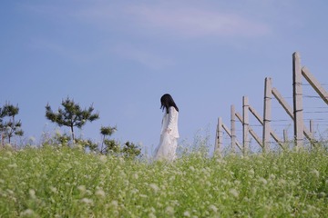 6441C183-59EA-42D6-AC25-B50DEE502812/L0/001