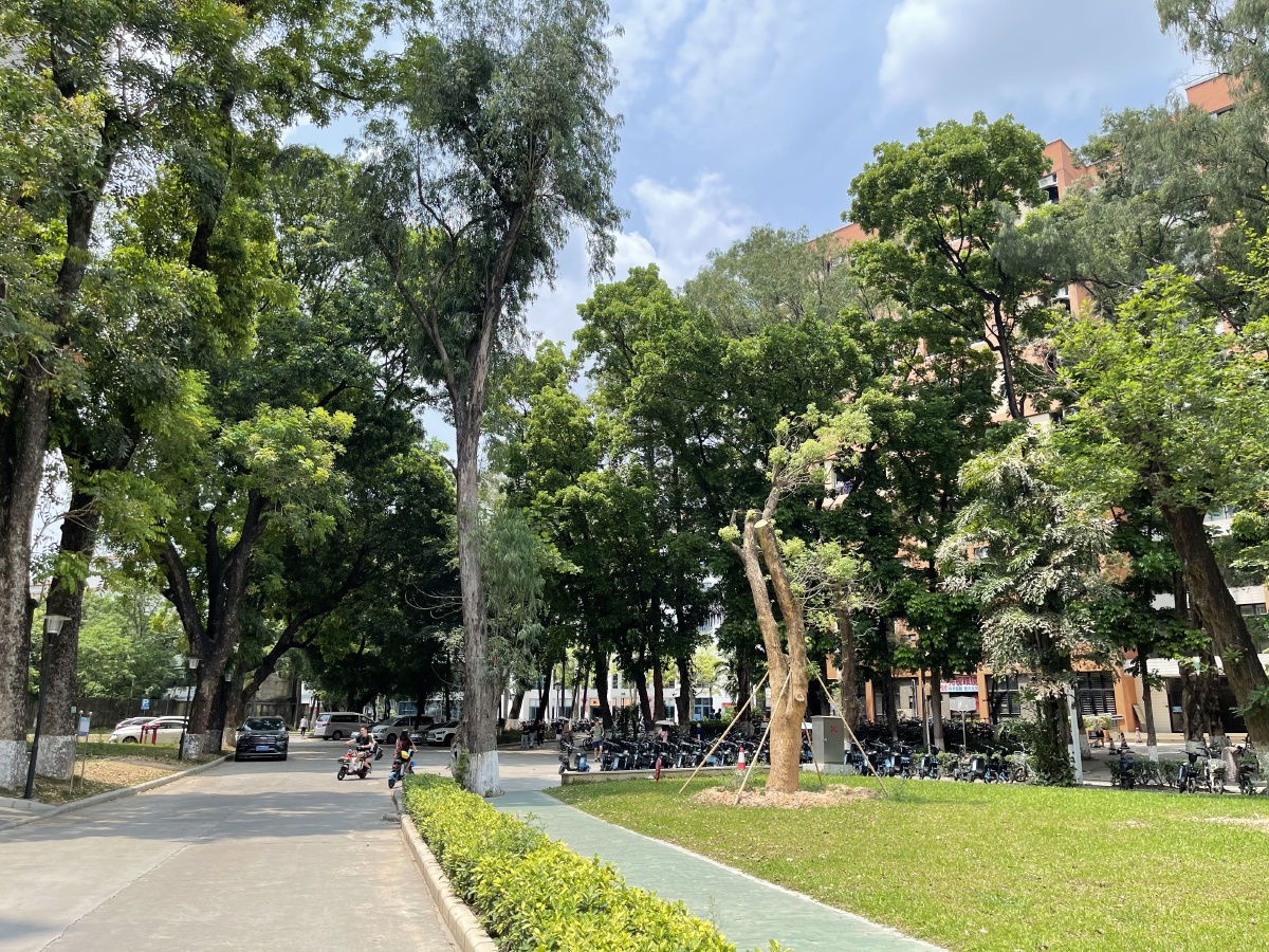 华南理工大学校园风光