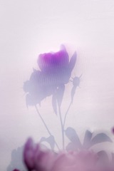 1309672