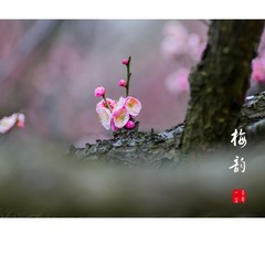 1140134