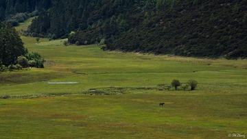 IMG_9414.jpg