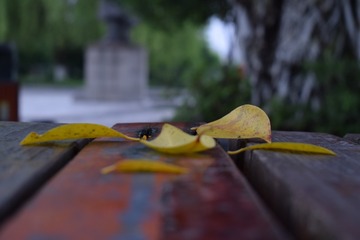 664817