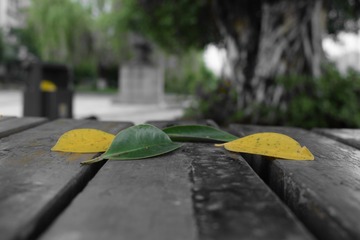 664815