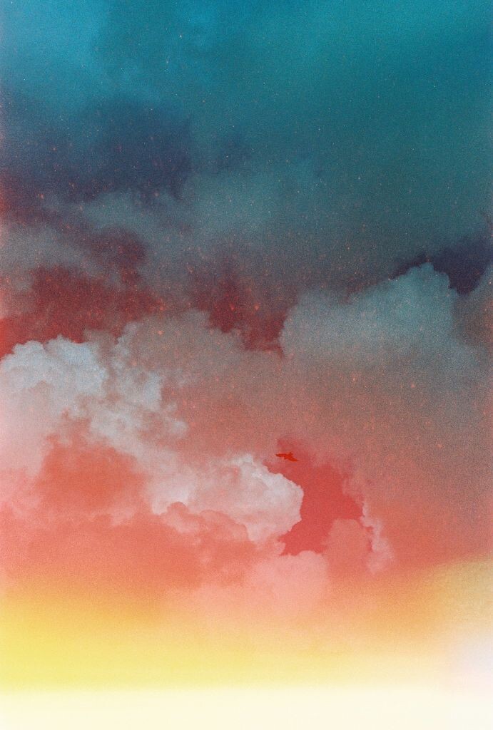 彩<br />
rollei cn200