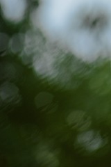 32ECEEF2-9B99-48EF-A101-5AE6B9D43D00/L0/001
