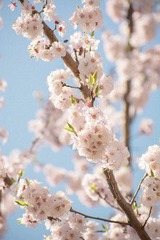 B0E6AD00-DB2D-4F48-ACBC-2CA77E48CF6D/L0/001