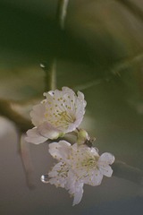 E892F7CA-198E-4C3B-9B5D-92535CACDDCC/L0/001