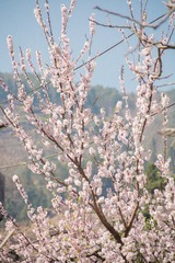 D72A513D-7C41-4CB1-8F7E-B52C4572255B/L0/001