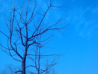 IMG_20110108_152034