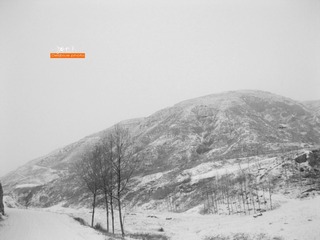 IMG_0408_