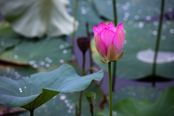 001