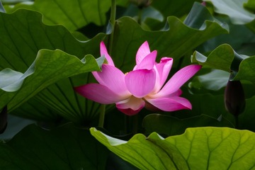 001