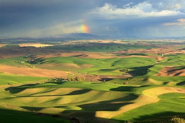 palouse