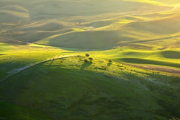 palouse