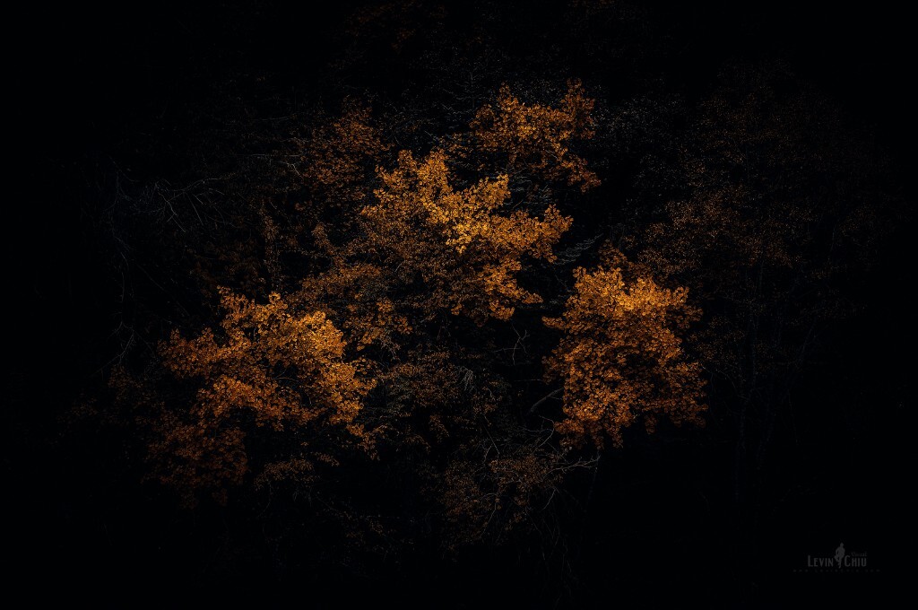 有时候做人亦如光影，该展现的，不该展现的，不能展尽锋芒，谦逊为上。“藏”是为了更好的“现”。