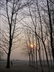 夕照.JPG