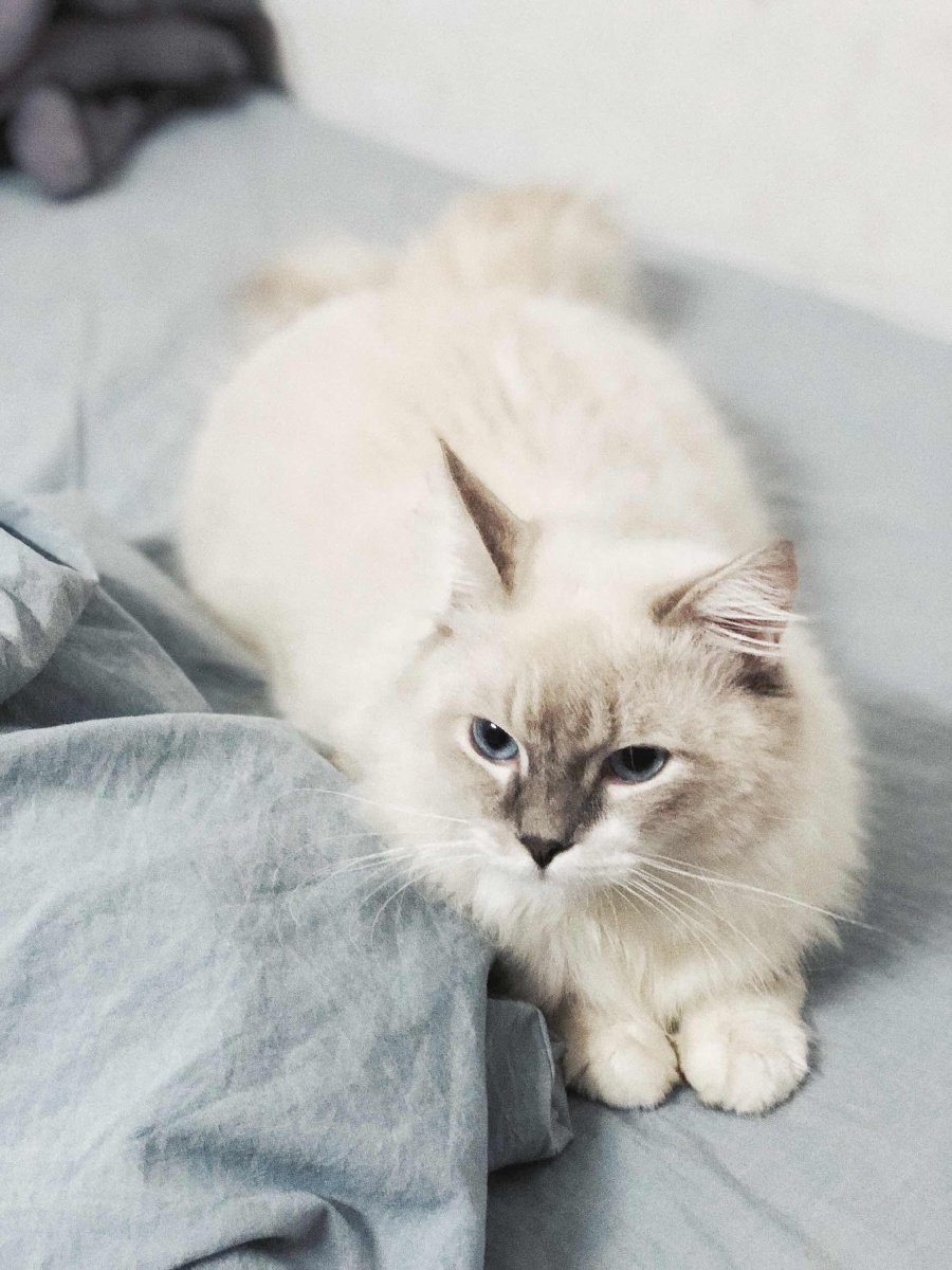 伟德国际新闻深度天极网