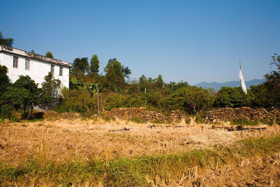 收割后的场景<br />
