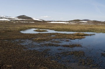 2011烟火8