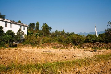 收割后的场景