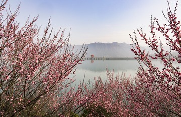 _J4A1238