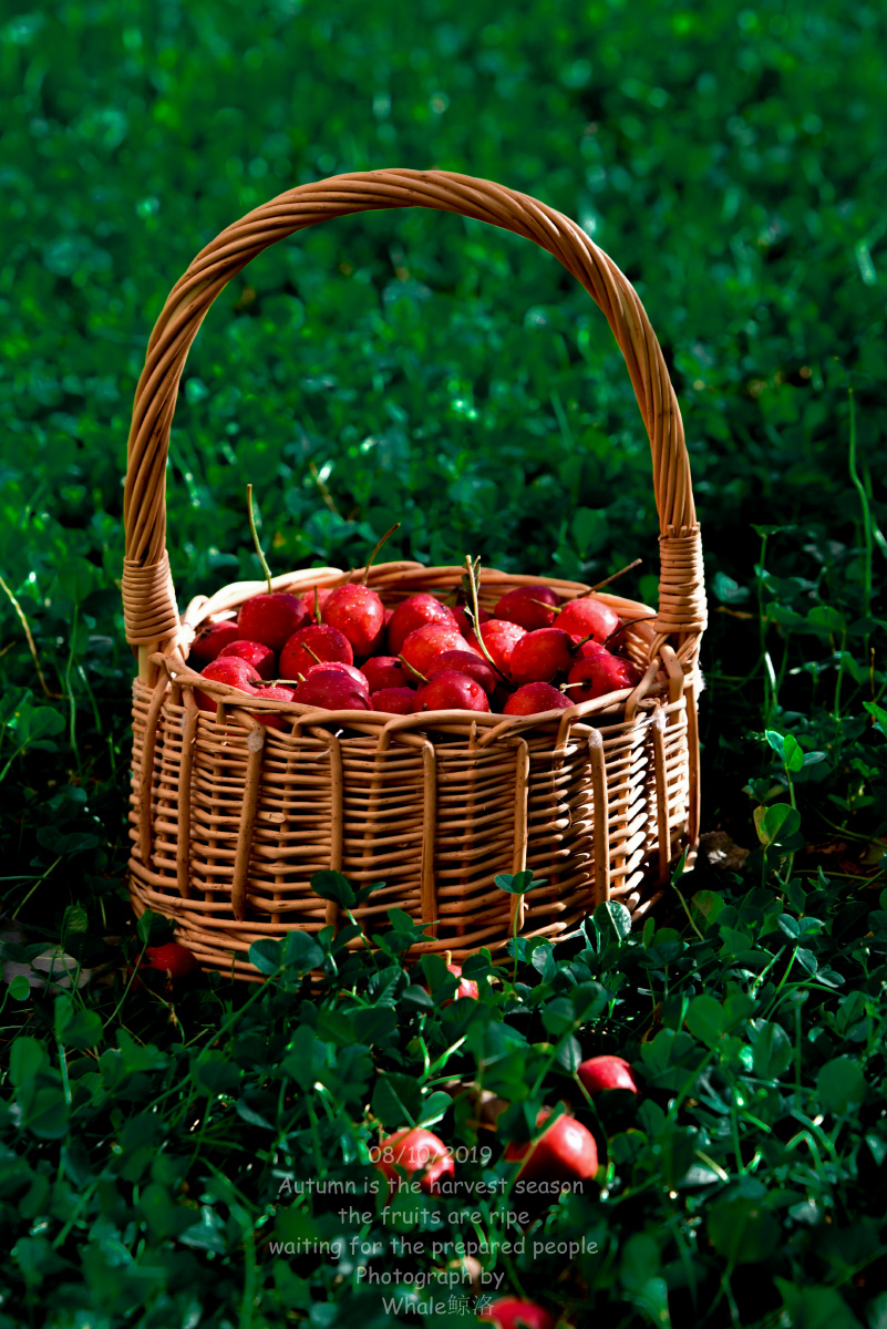 autumneverythingisred美食静物摄影山楂