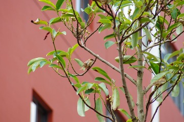 DSC01353.JPG