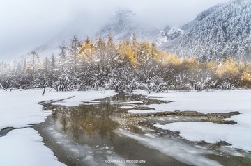 _DSC6773