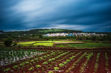 _DSC7056