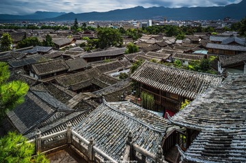 _DSC3083
