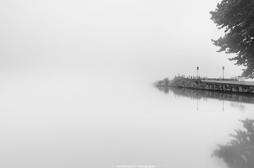 _DSC5952