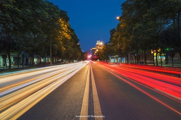 _DSC0719