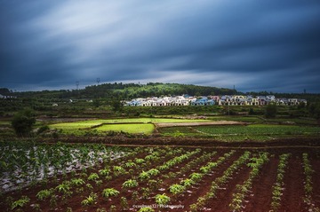 _DSC7056