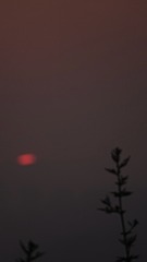 A6F49B28-B669-4504-9834-3E098EA07BF0/L0/001