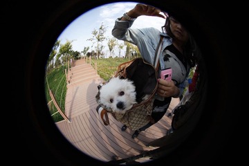 _MG_5021.JPG