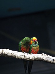 _MG_5144.jpg