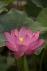 _DSC0001