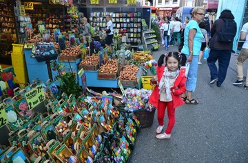 DSC_1755.JPG
