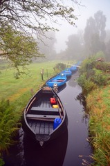 DSC_2710.JPG
