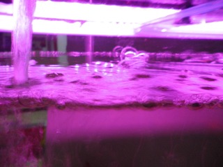 13EC94C3-61BC-4086-91D2-0CA8A6054769/L0/001