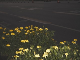 10376AC1-C5C2-46ED-B076-15BA212971C5/L0/001
