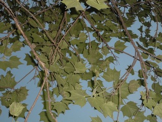 DBB0D04C-E960-43EB-8276-DAA27487091B/L0/001