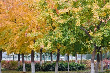 IMG_2076.jpg